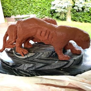 Lions errants dans un désert noir