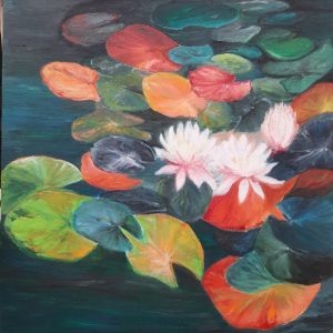 Les lotus colorés