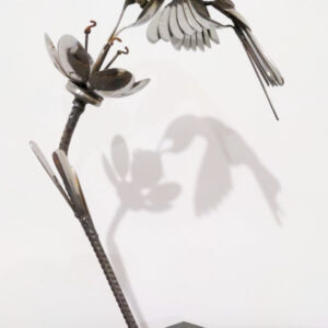 Colibri