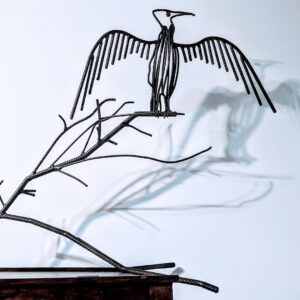 Cormoran