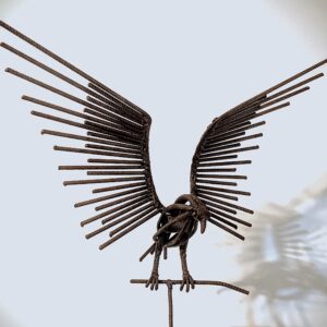 Rapace