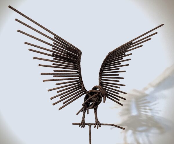 Rapace