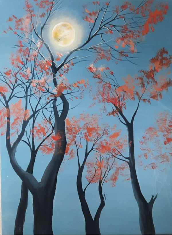 Nuit d'été